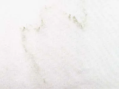 Bianco Arni – رخام