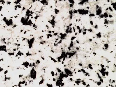 Blanco Berrocal – Granito