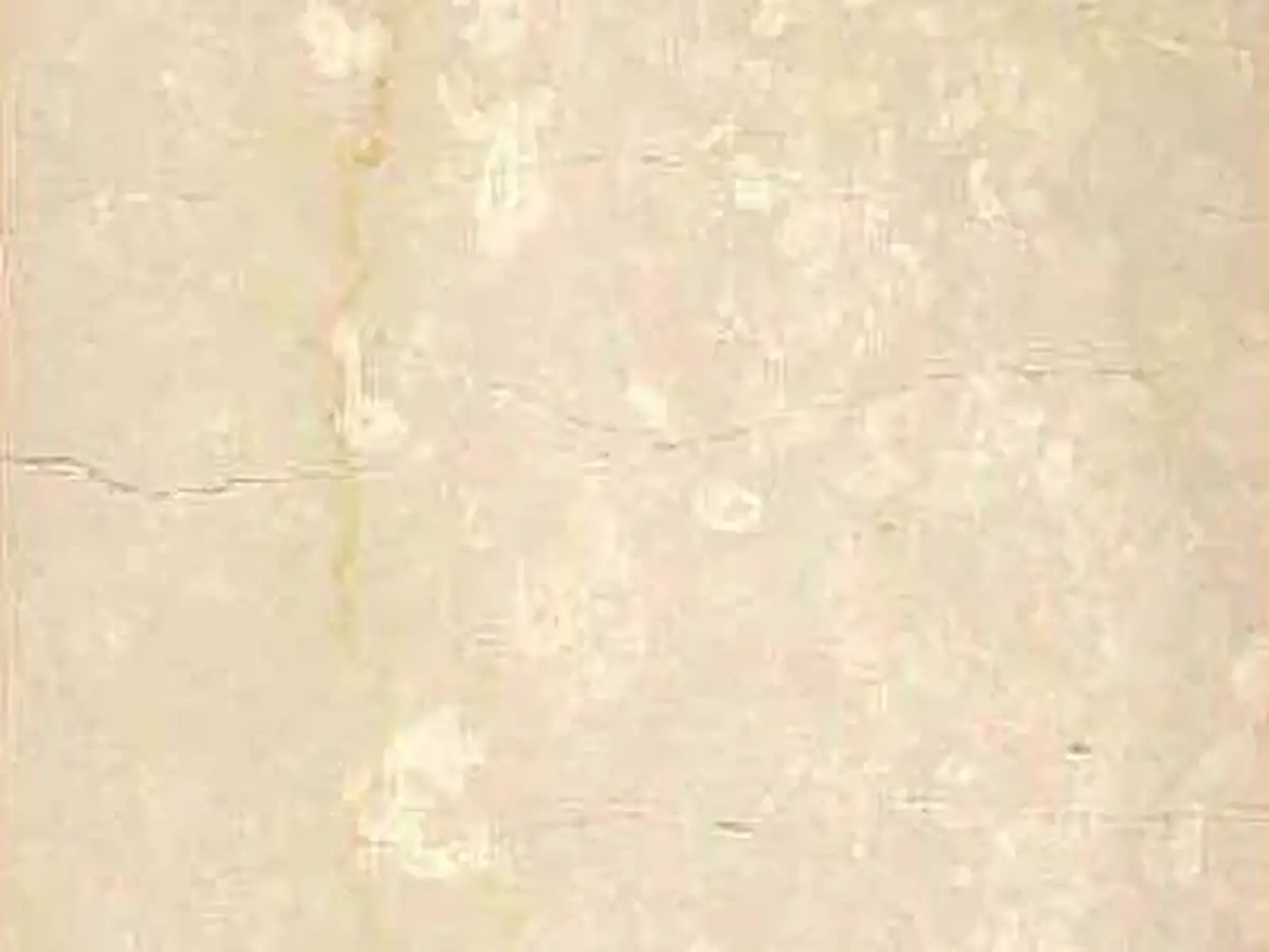 Botticino Classico 4