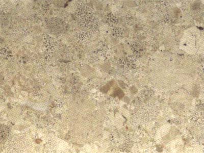 Crema Altea – Breccia Spagna