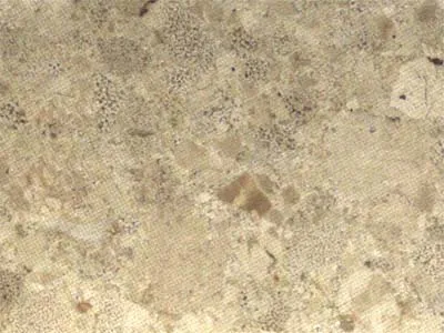 Crema Altea – Breccia