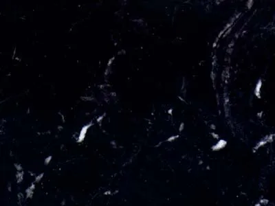Negro Marquina 2