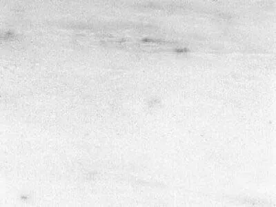 Nestos White 2