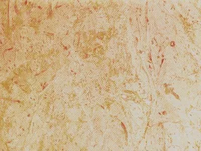 Perlato Svevo – Calcaire