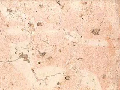 Rosa Coral – رخام