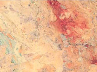 Sarrancolin – Mármol